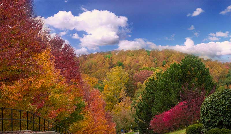 Appalachian Bible College - Fall Foliage